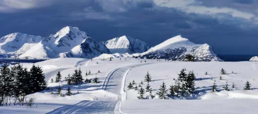 immigration consultants in Canada
